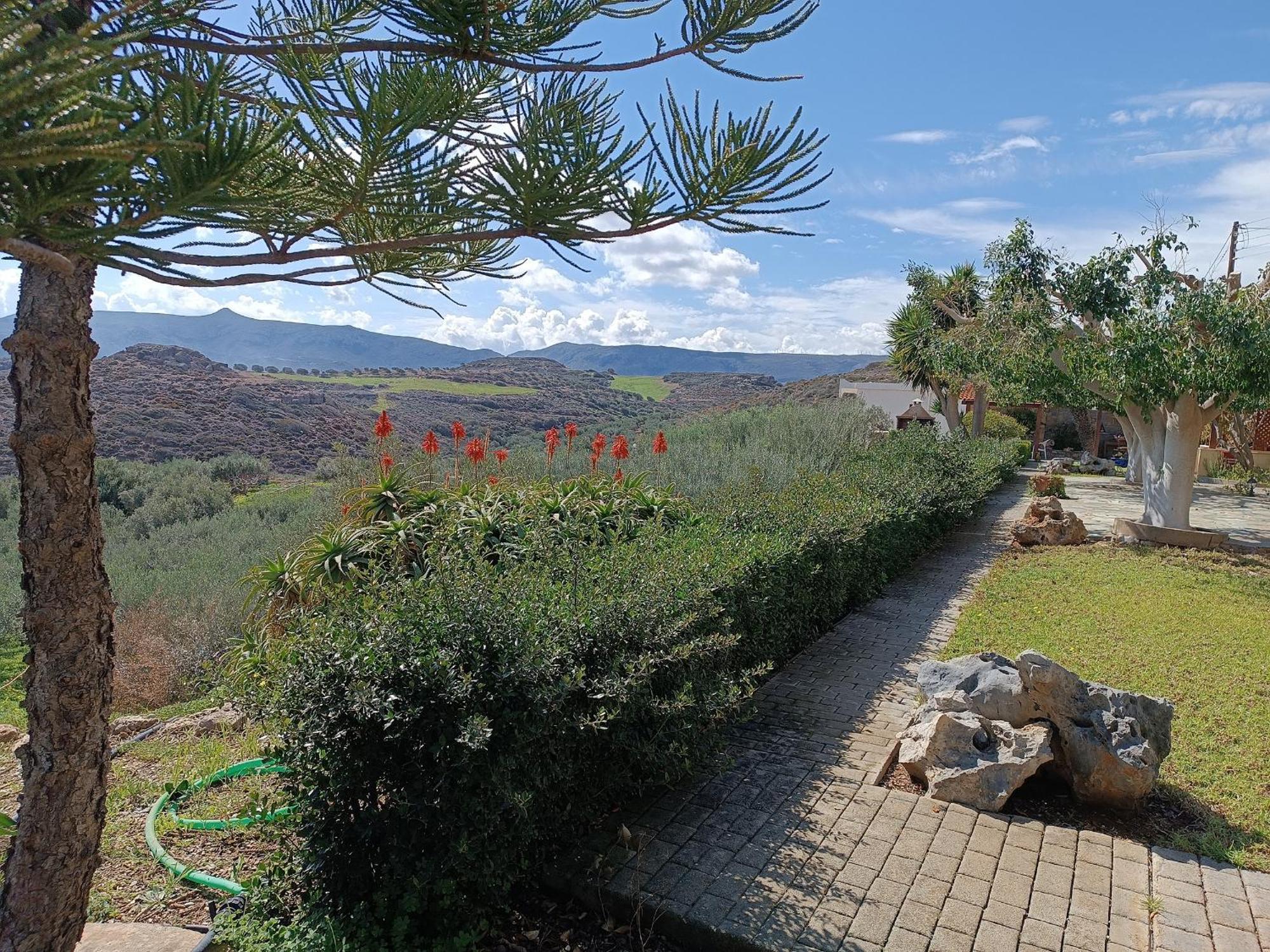 Villa Amalia Palekastro Dış mekan fotoğraf