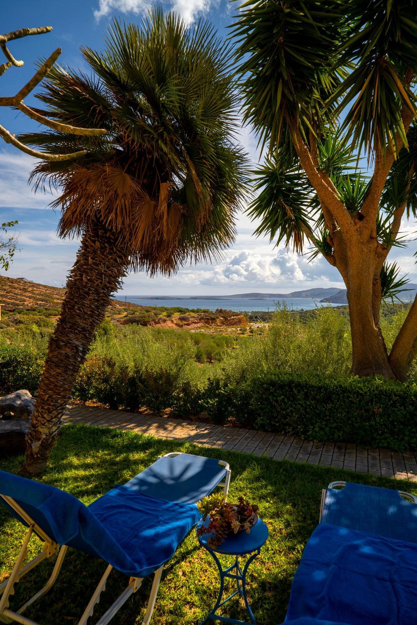 Villa Amalia Palekastro Dış mekan fotoğraf