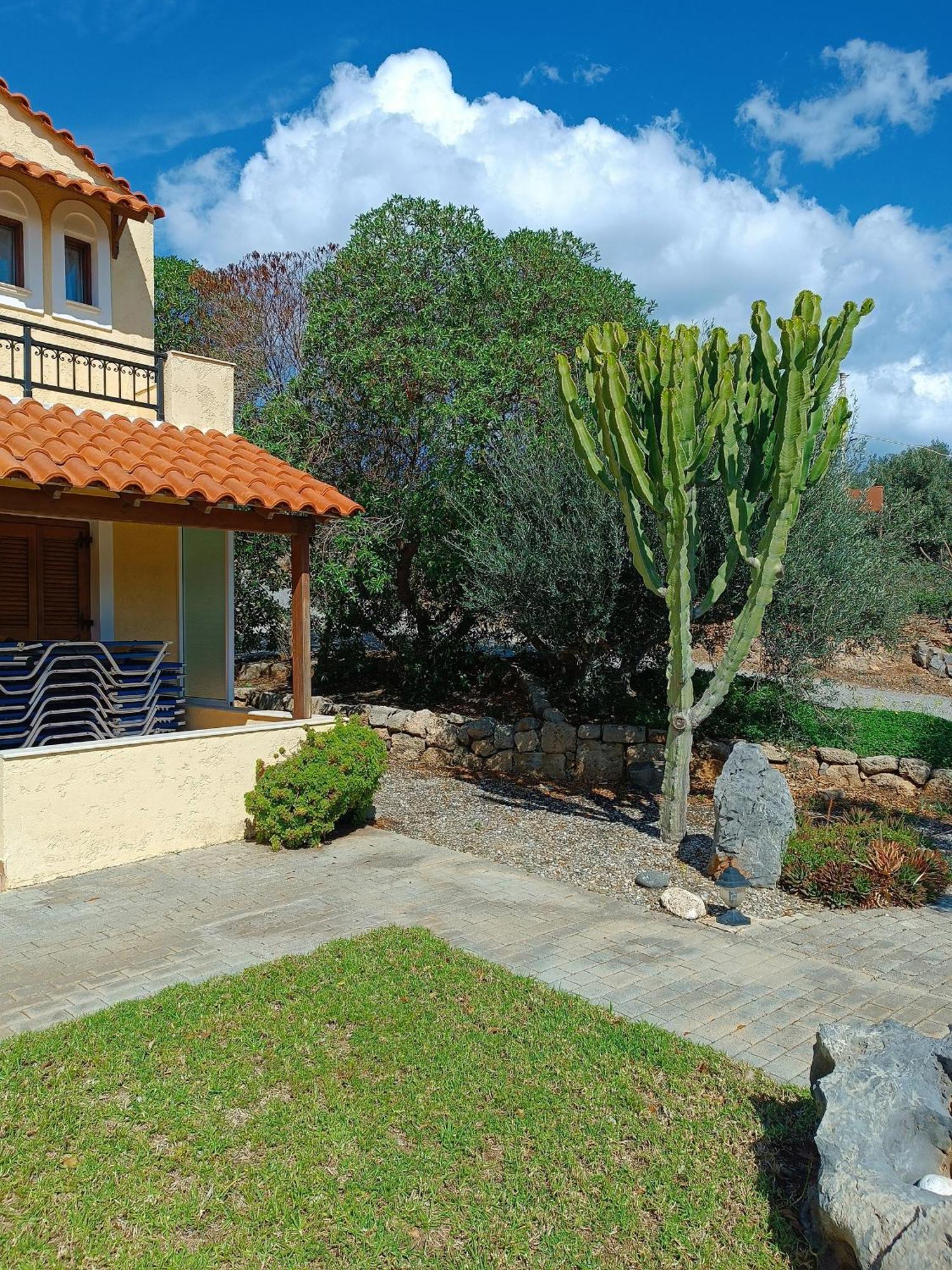 Villa Amalia Palekastro Dış mekan fotoğraf