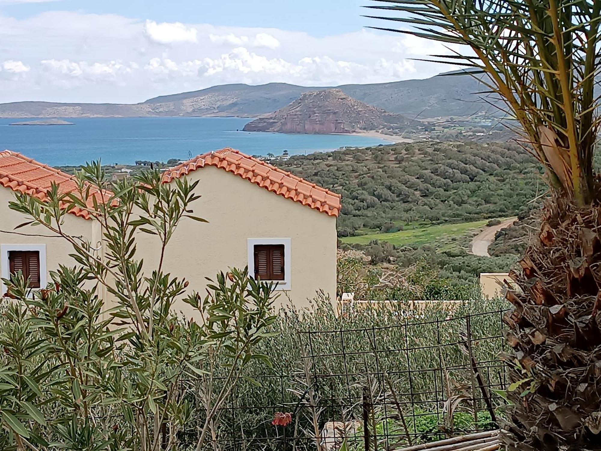 Villa Amalia Palekastro Dış mekan fotoğraf