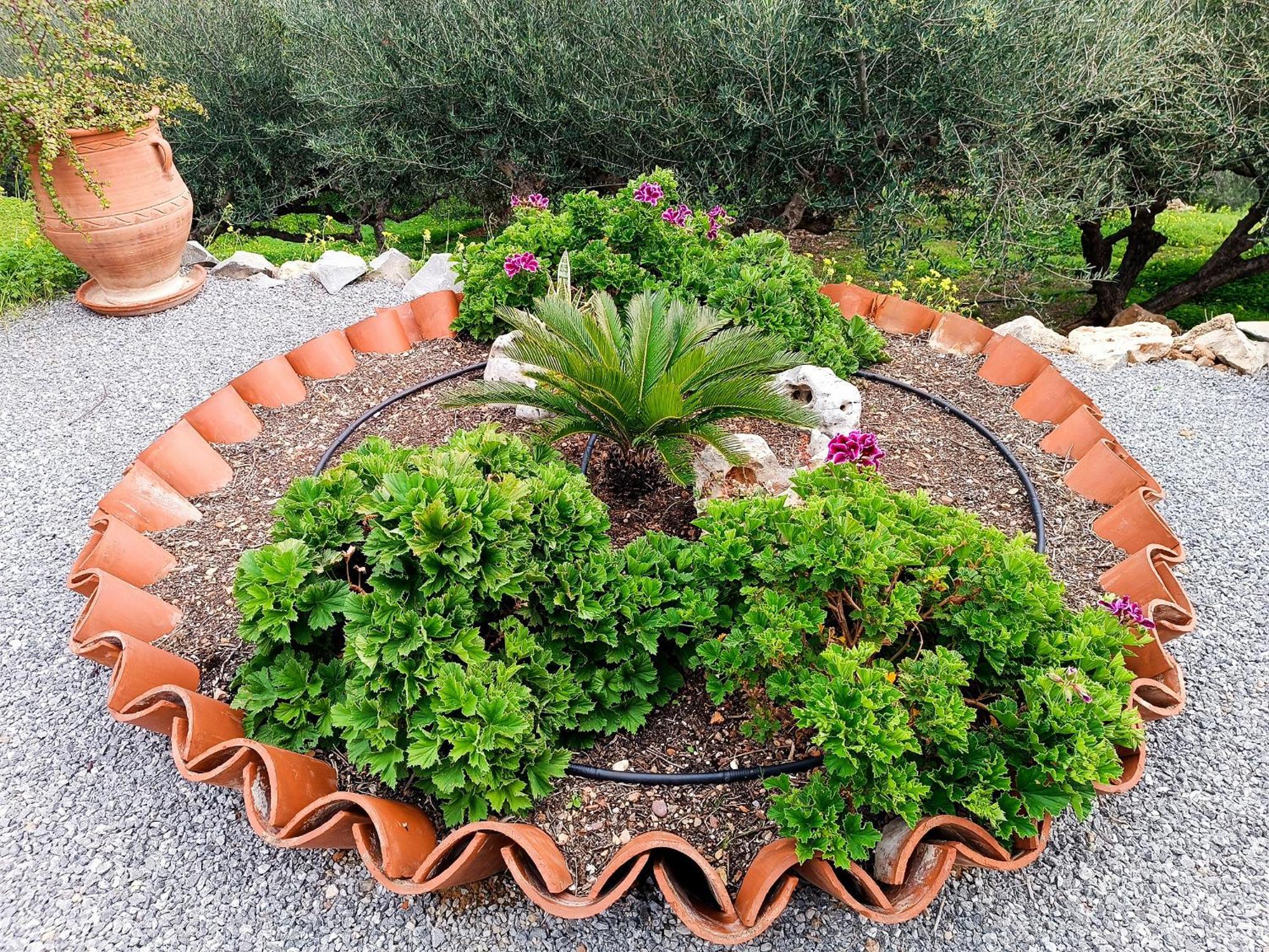Villa Amalia Palekastro Dış mekan fotoğraf