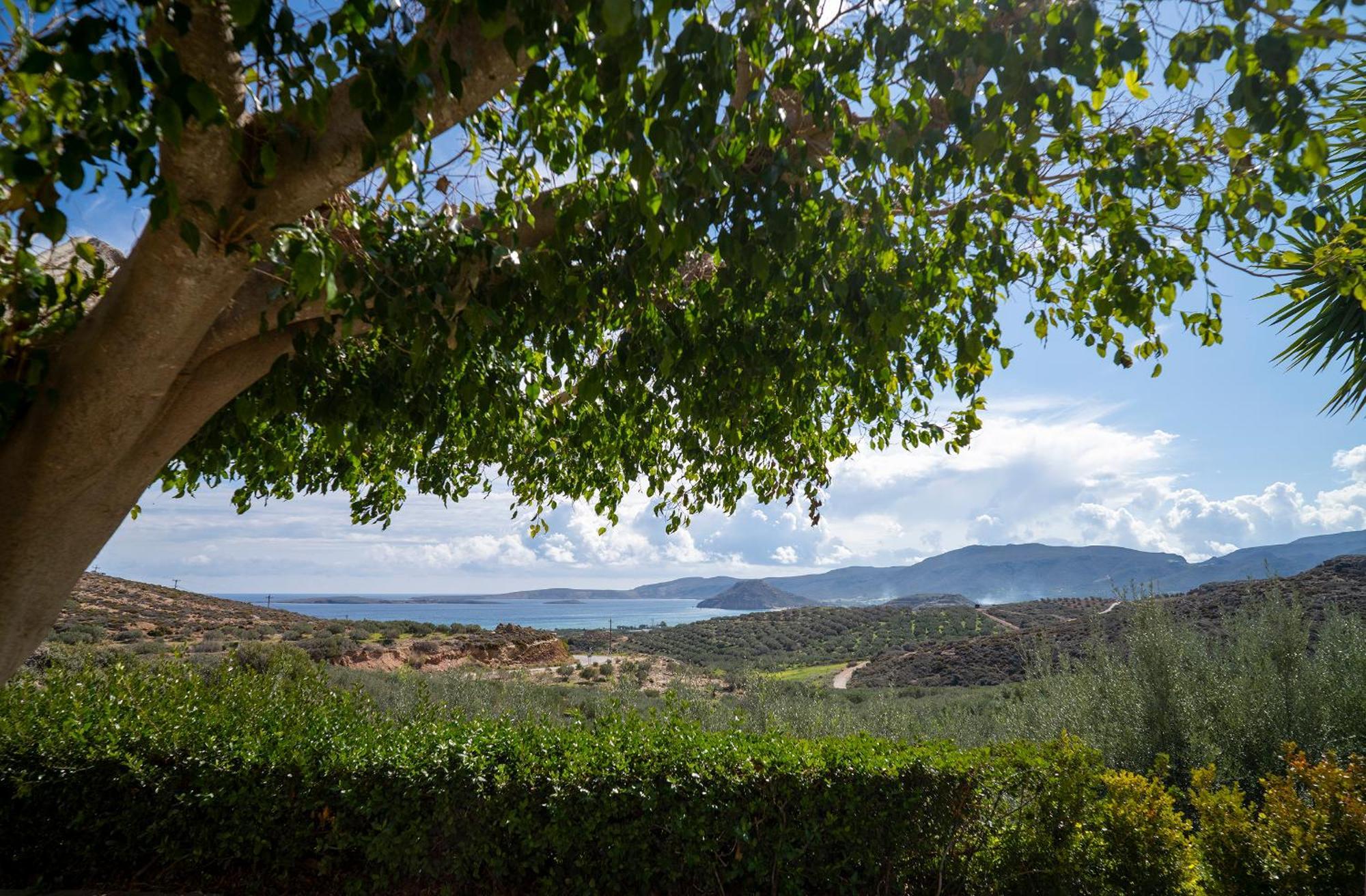 Villa Amalia Palekastro Dış mekan fotoğraf