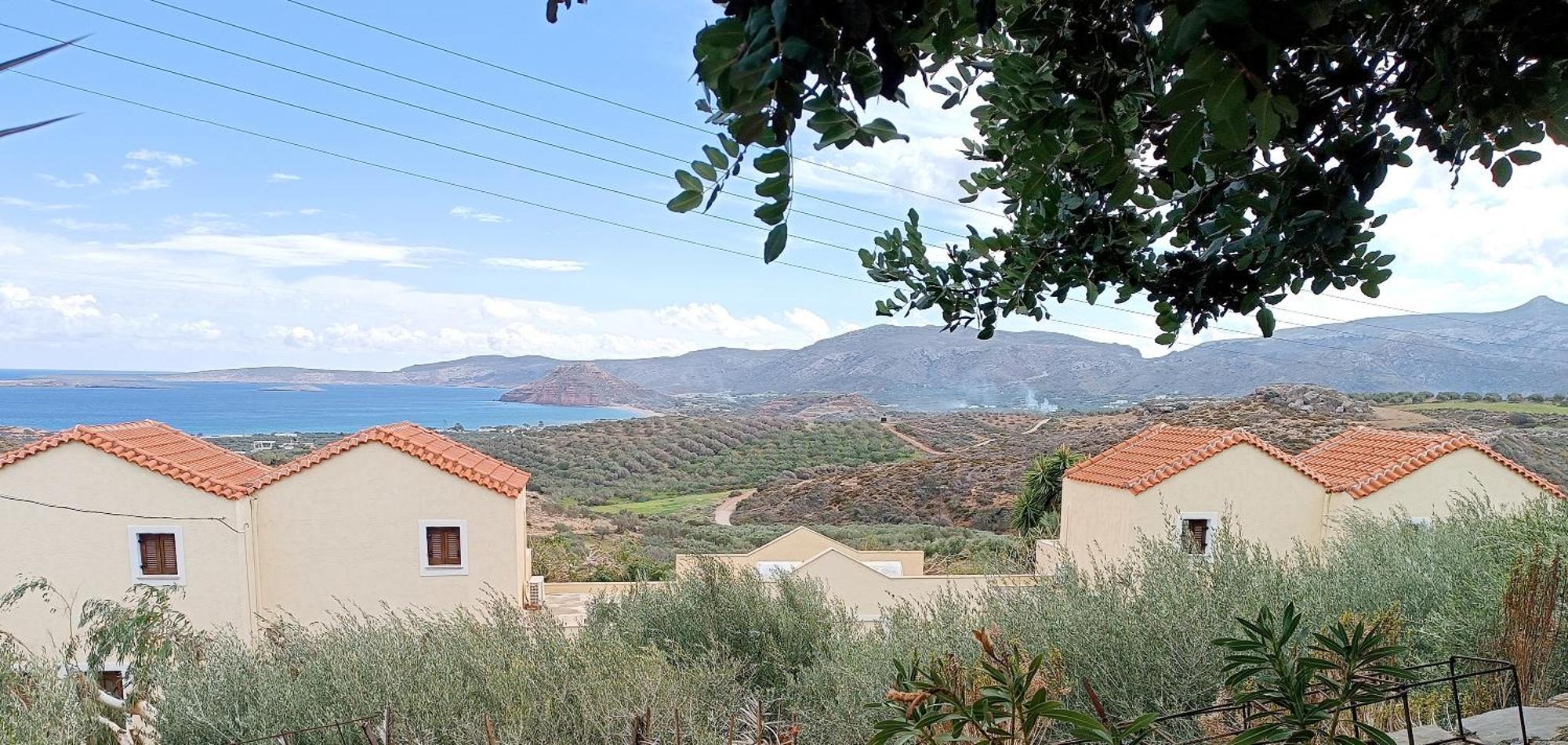 Villa Amalia Palekastro Dış mekan fotoğraf